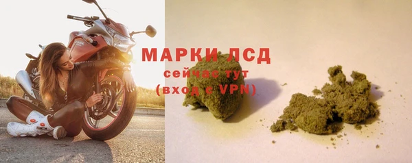 ешки Новодвинск