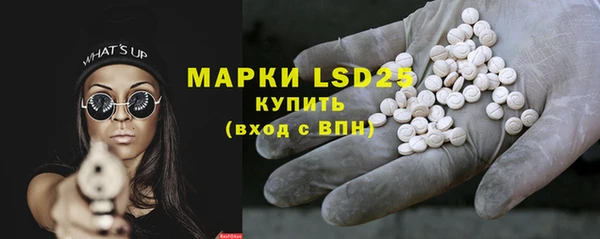 ешки Новодвинск