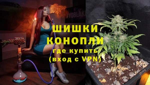 ешки Новодвинск