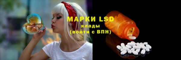 ешки Новодвинск