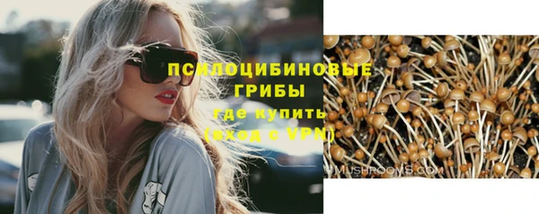 дмт Нязепетровск