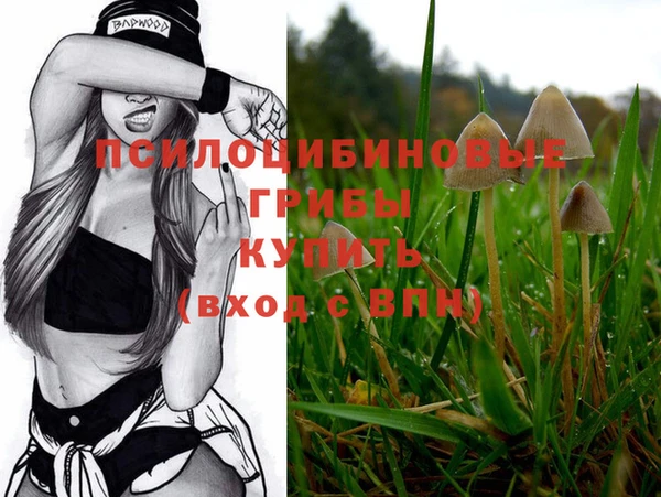 ешки Новодвинск