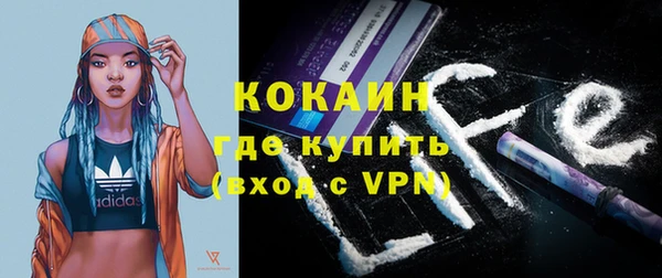 скорость Новозыбков